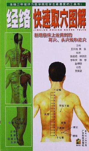 经络快速取穴图解