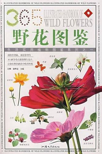 野生花卉