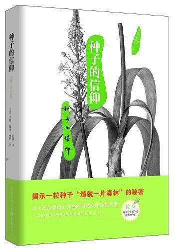 种子的信仰