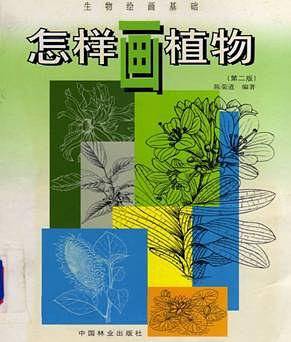 怎样画植物