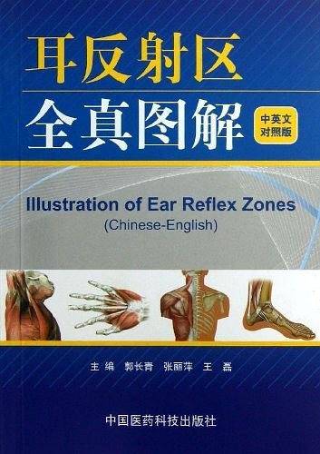 耳反射区全真图解