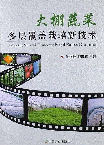 大棚蔬菜多层覆盖栽培新技术