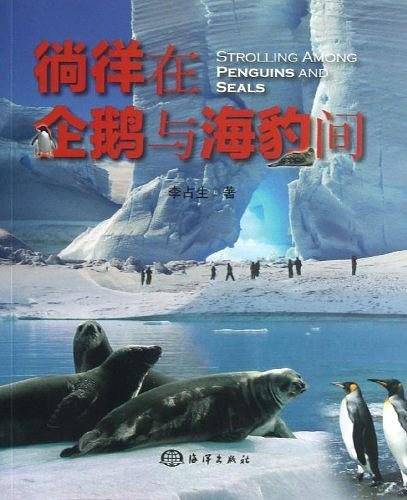 徜徉在企鹅与海豹间
