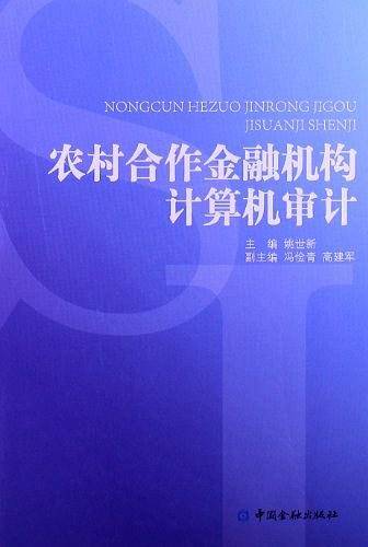 农村合作金融机构计算机审计