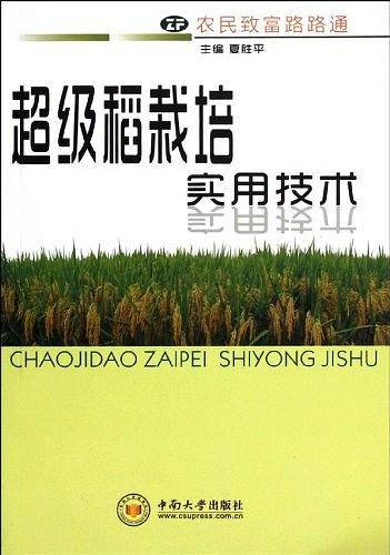 超级稻栽培实用技术