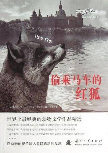 偷乘马车的红狐