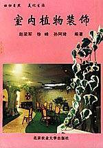 室内植物装饰