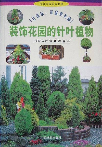 装饰花园的针叶植物