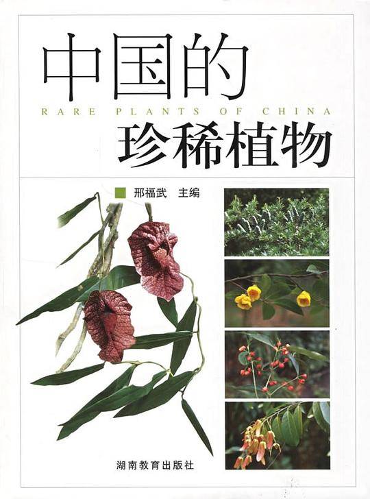 中国的珍稀植物