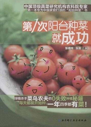 第1次阳台种菜就成功