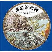 海边的动物