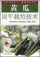 黄瓜周年栽培技术