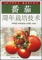 番茄周年栽培技术