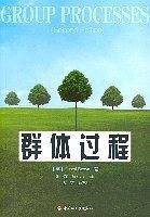 群体过程