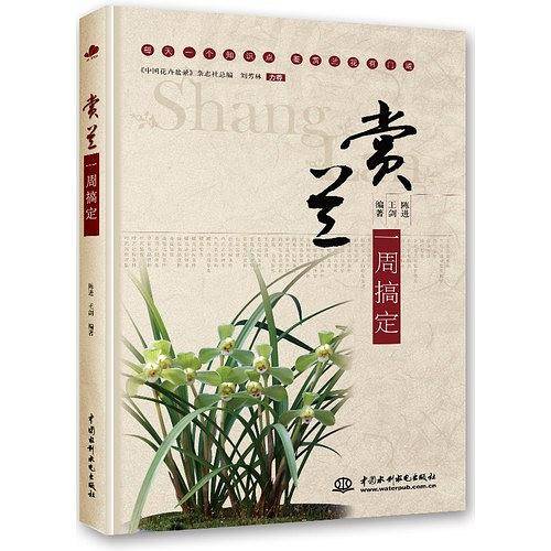 赏兰一周搞定