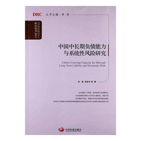 中国中长期负债能力与系统性风险研究