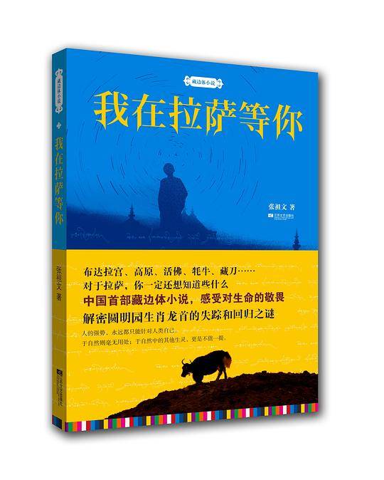 我在拉萨等你