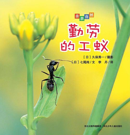 亲亲自然：勤劳的工蚁