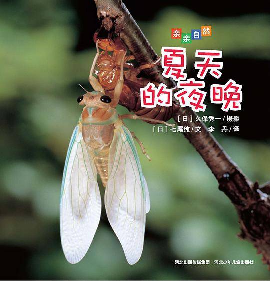 亲亲自然：夏天的夜晚