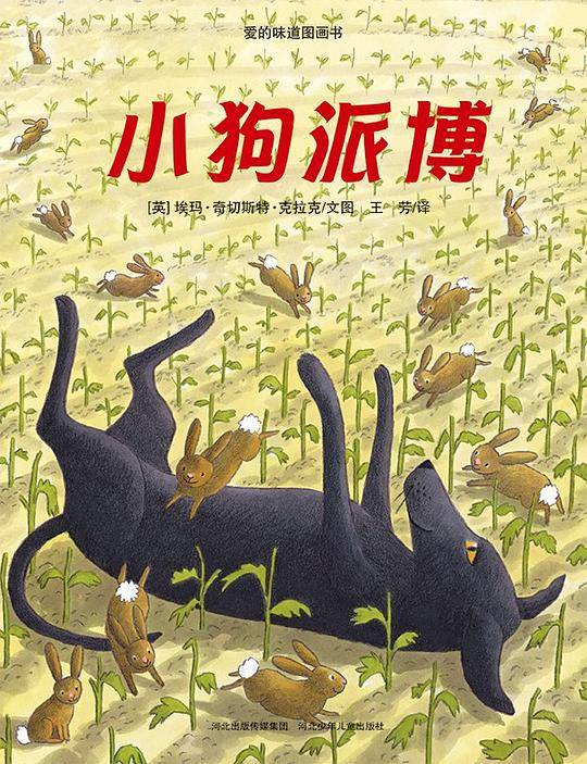 小狗派博