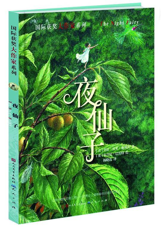夜仙子