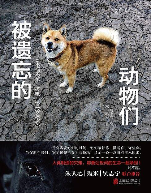 被遗忘的动物们