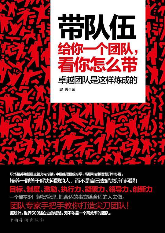 带队伍：给你一个团队，看你怎么带