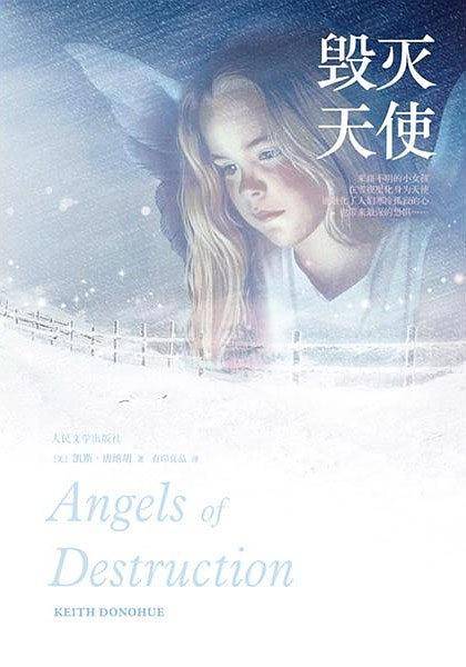 毁灭天使年度十大好书畅销小说《失窃的孩子》作者又一精心杰作