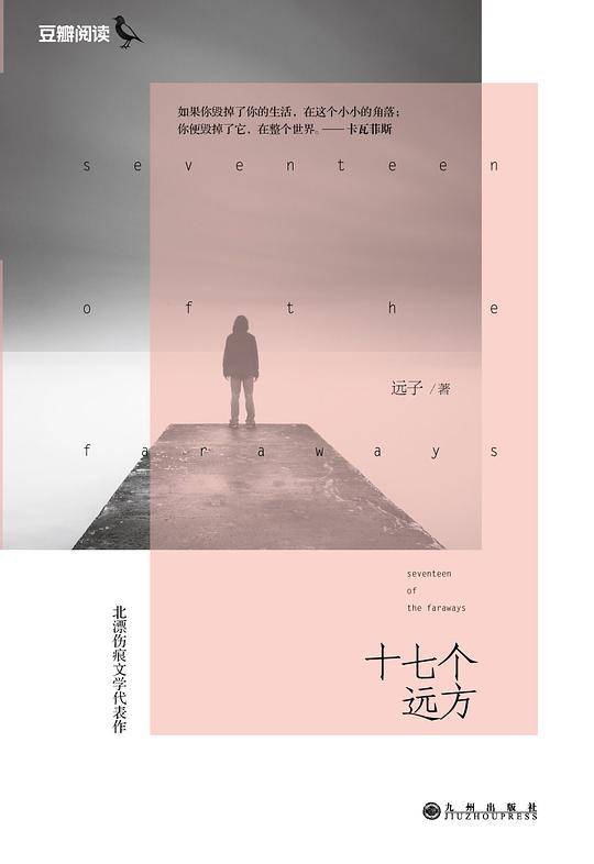 十七个远方