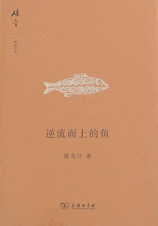 逆流而上的鱼