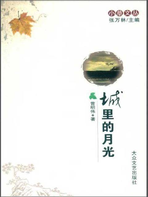 城里的月光