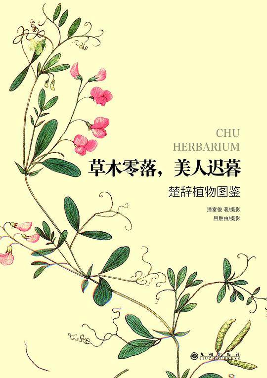 草木零落，美人迟暮――楚辞植物图鉴