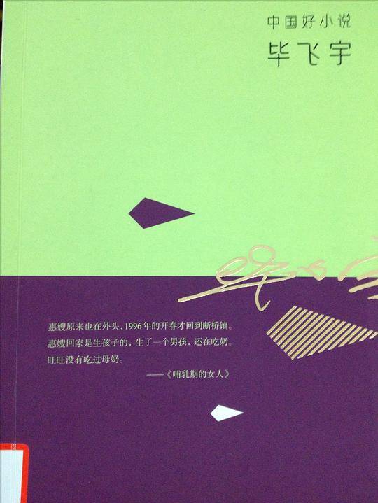 中国好小说.毕飞宇