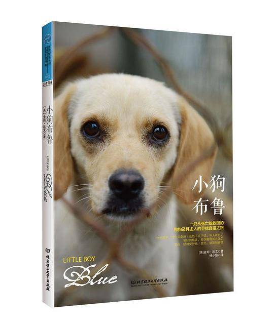 小狗布鲁