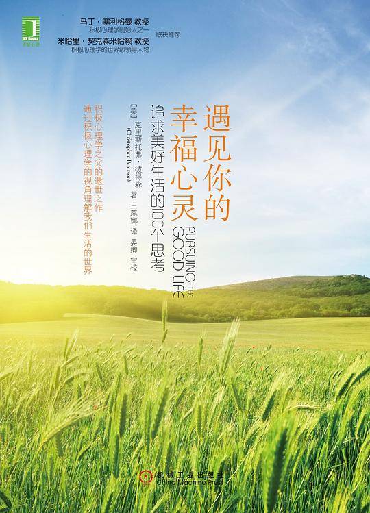 遇见你的幸福心灵：追求美好生活的100个思考