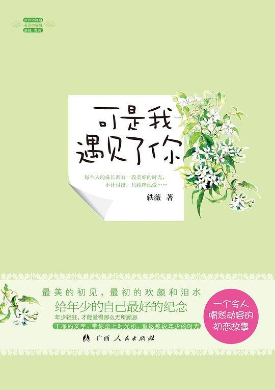 《可是我遇见了你》