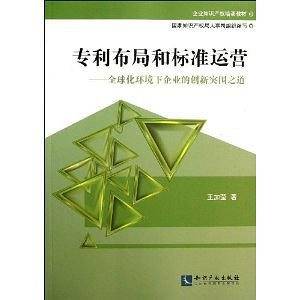 专利布局和标准运营
