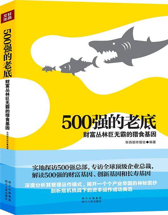 500强的老底