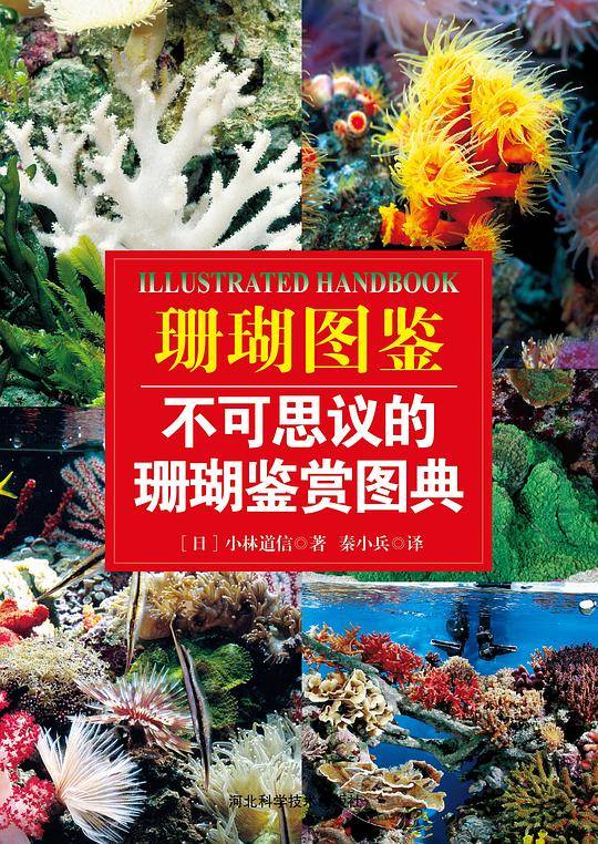 珊瑚图鉴
