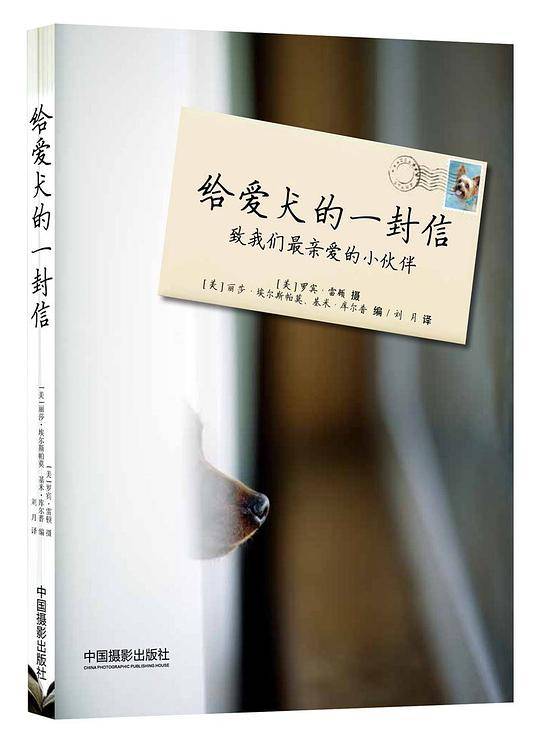 给爱犬的一封信
