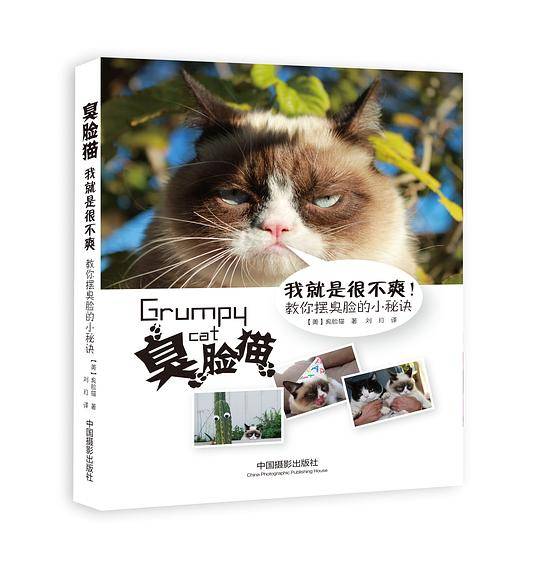 臭脸猫