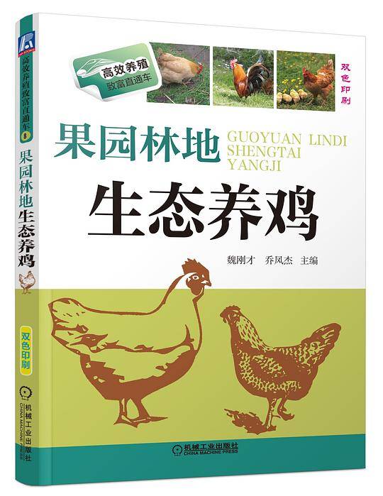 果园林地生态养鸡