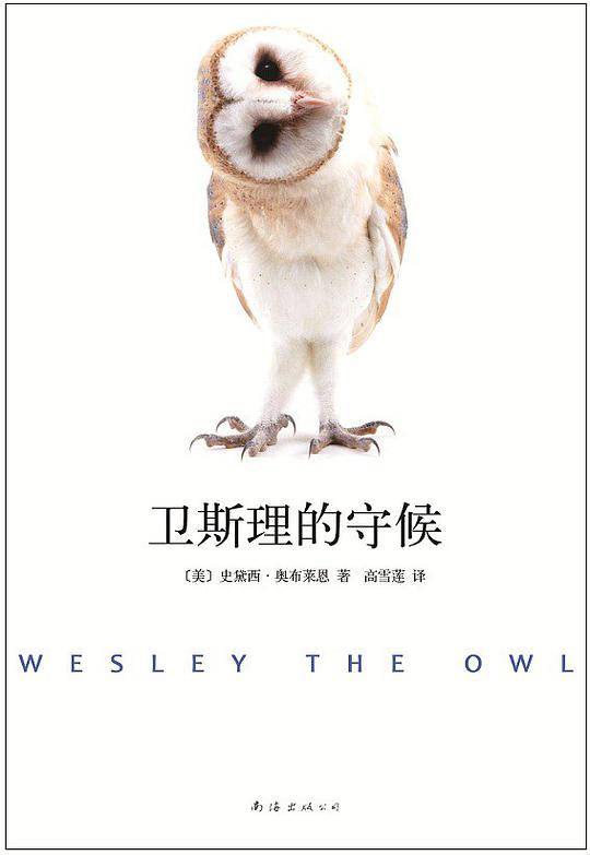 卫斯理的守候