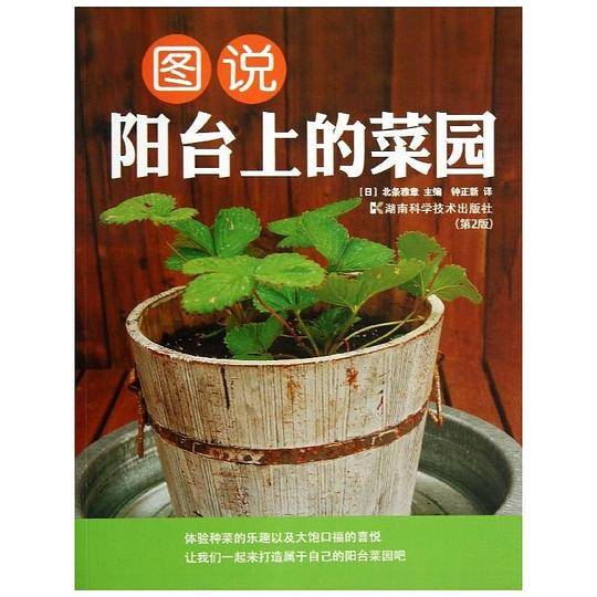 图说阳台上的菜园