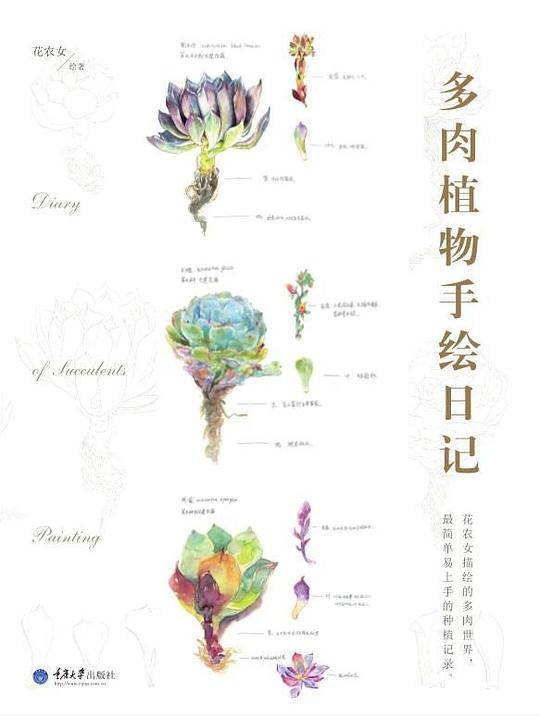 多肉植物手绘日记