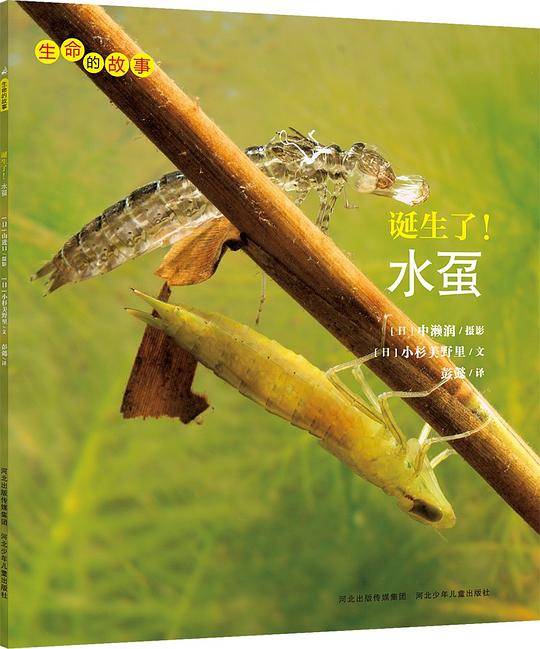 生命的故事系列：诞生了！水虿