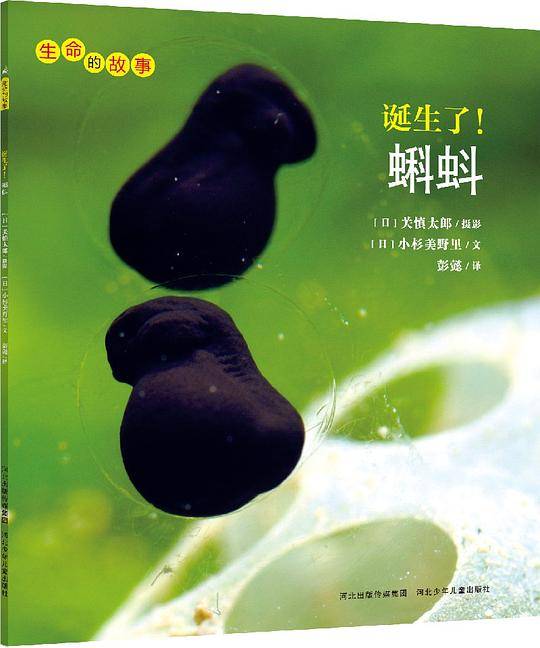 生命的故事系列：诞生了！蝌蚪