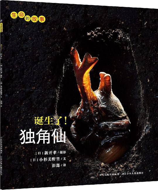 生命的故事系列：诞生了！独角仙