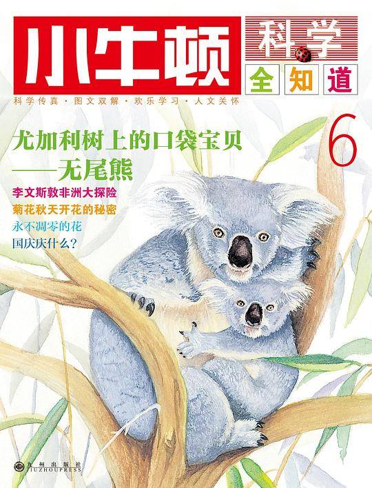 小牛顿科学全知道6