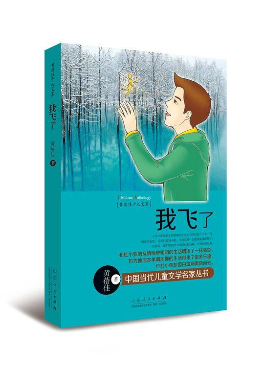 黄蓓佳少儿文集?我飞了